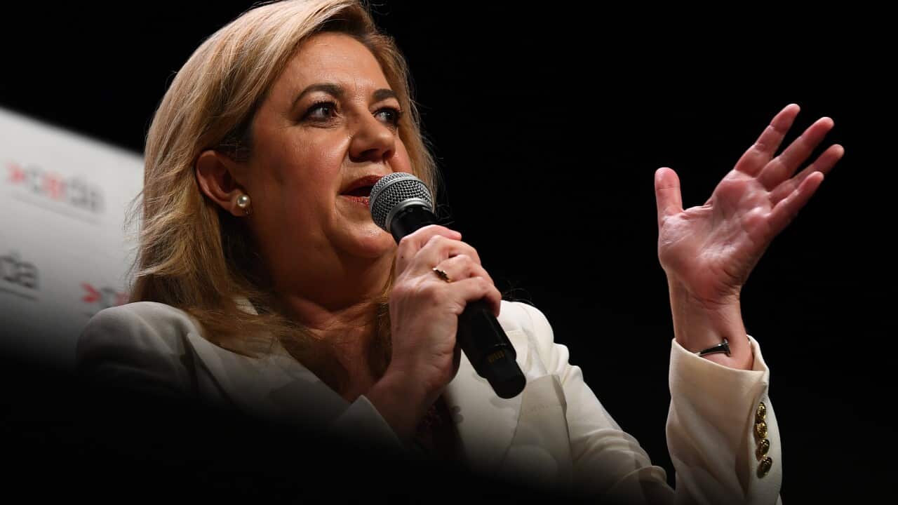 ANNASTACIA PALASZCZUK CEDA ADDRESS