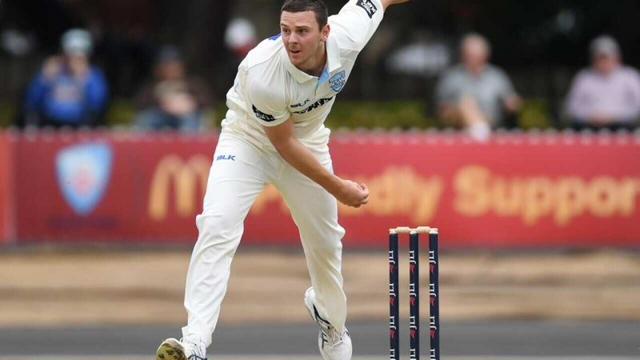 Josh Hazlewood bowls