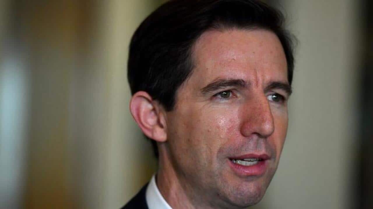 Minister for Education Simon Birmingham at a press conference at Parliament House in Canberra, Thursday, June 15, 2017. (AAP Image/Mick Tsikas) NO ARCHIVING