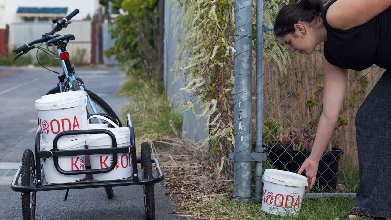 Carly collecting buckets.