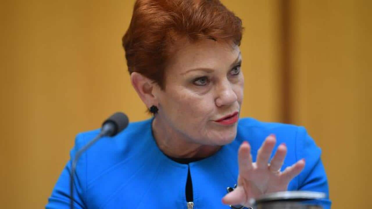 Bà Pauline Hanson tại Ủy Ban Ước Chi Thượng Viện