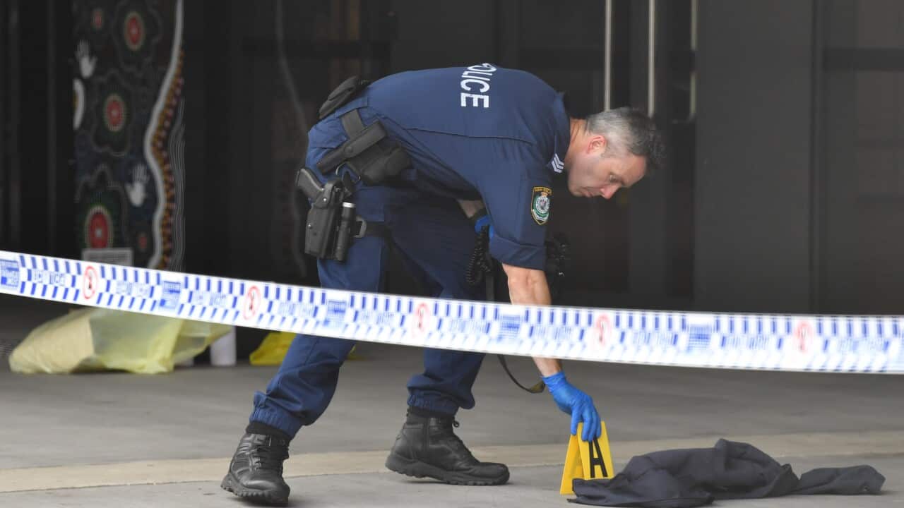 NSW Police look at a small knife at the scene of a stabbing at Arthur Phillip High School in Parramatta, Sydney, Monday, 23 November 23, 2020. 