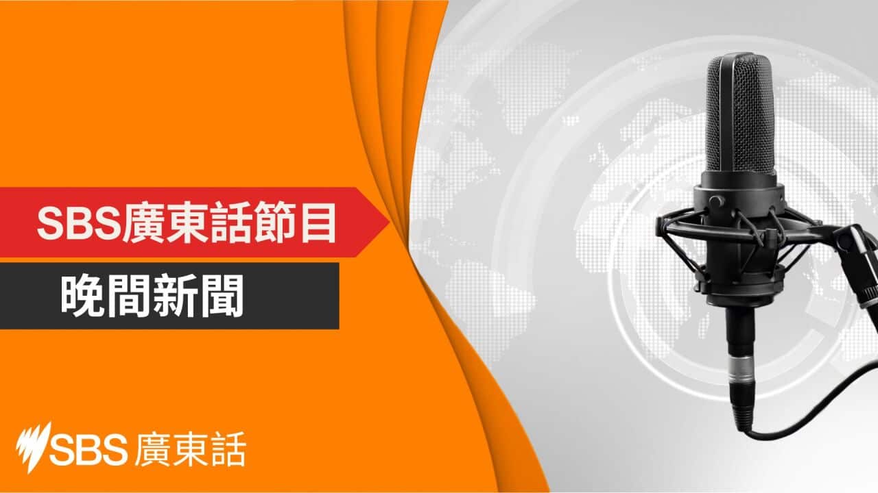 SBS 廣東話晚間新聞