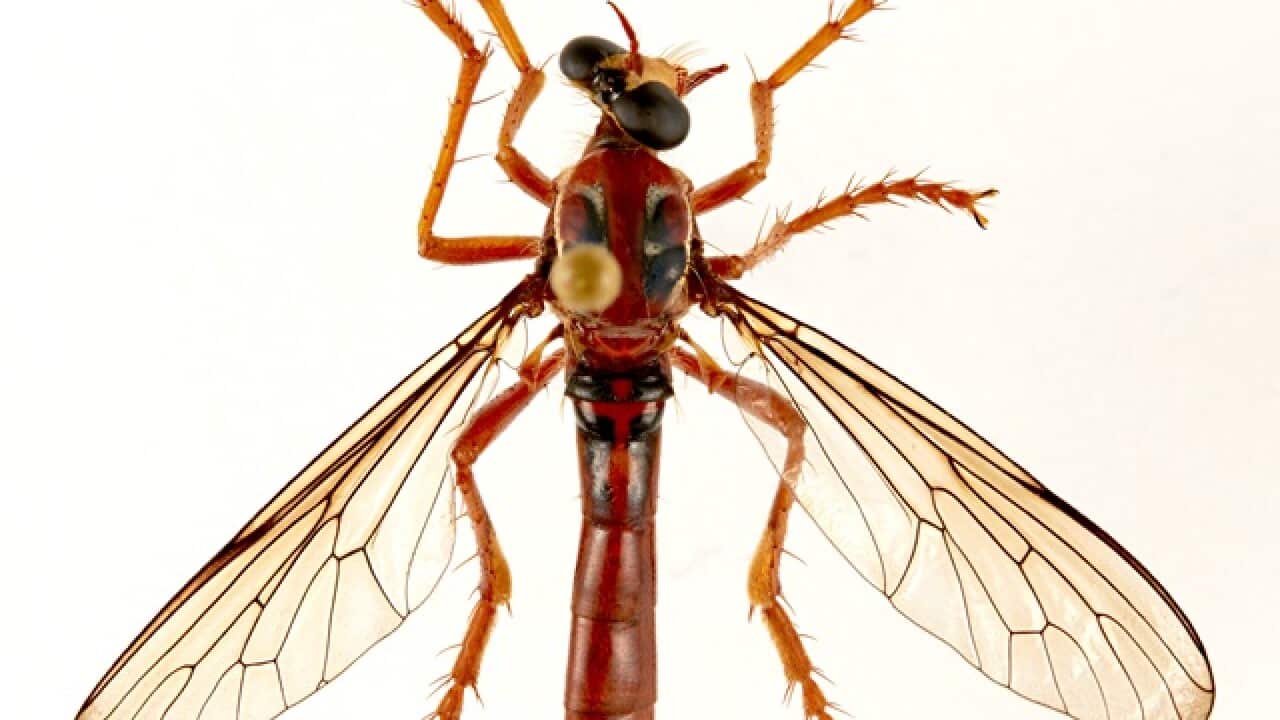 Image for read more article '相關內容'