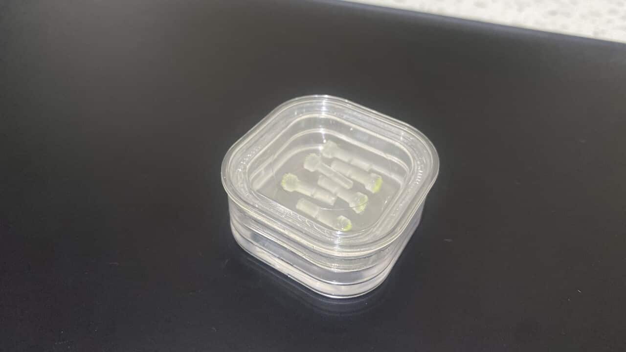 A skin cancer patch test (SBS).jpg