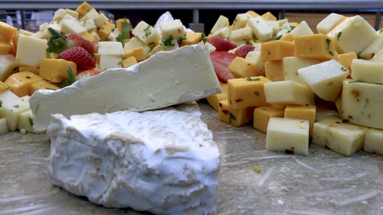 Cheese