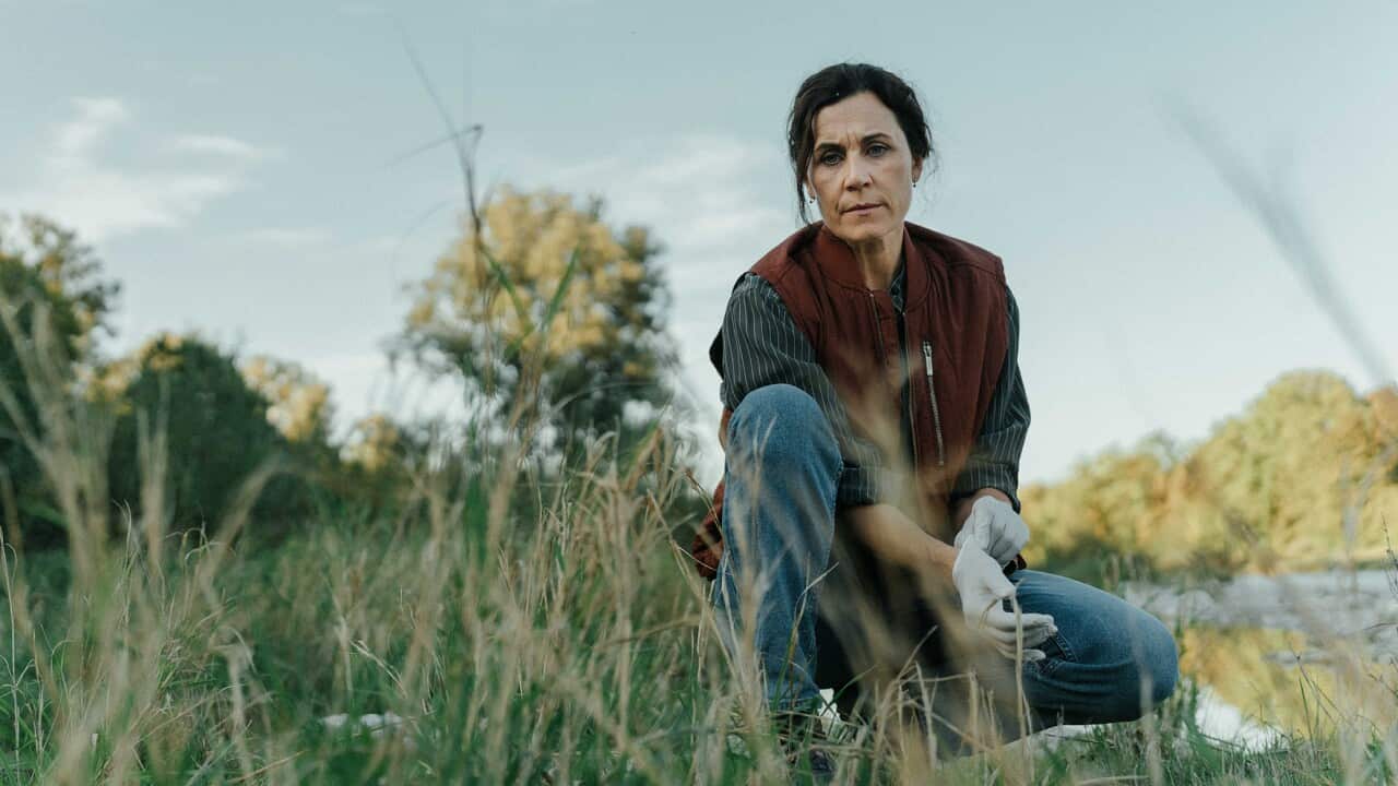 Unraveling the Darkness: The Gripping 'Black Forest Murders' Investigation