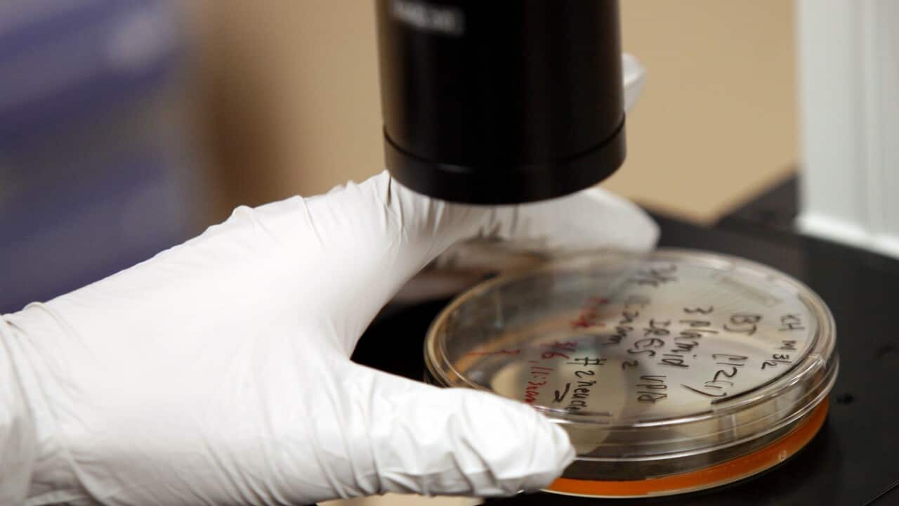 science_generic_131030_getty.JPG