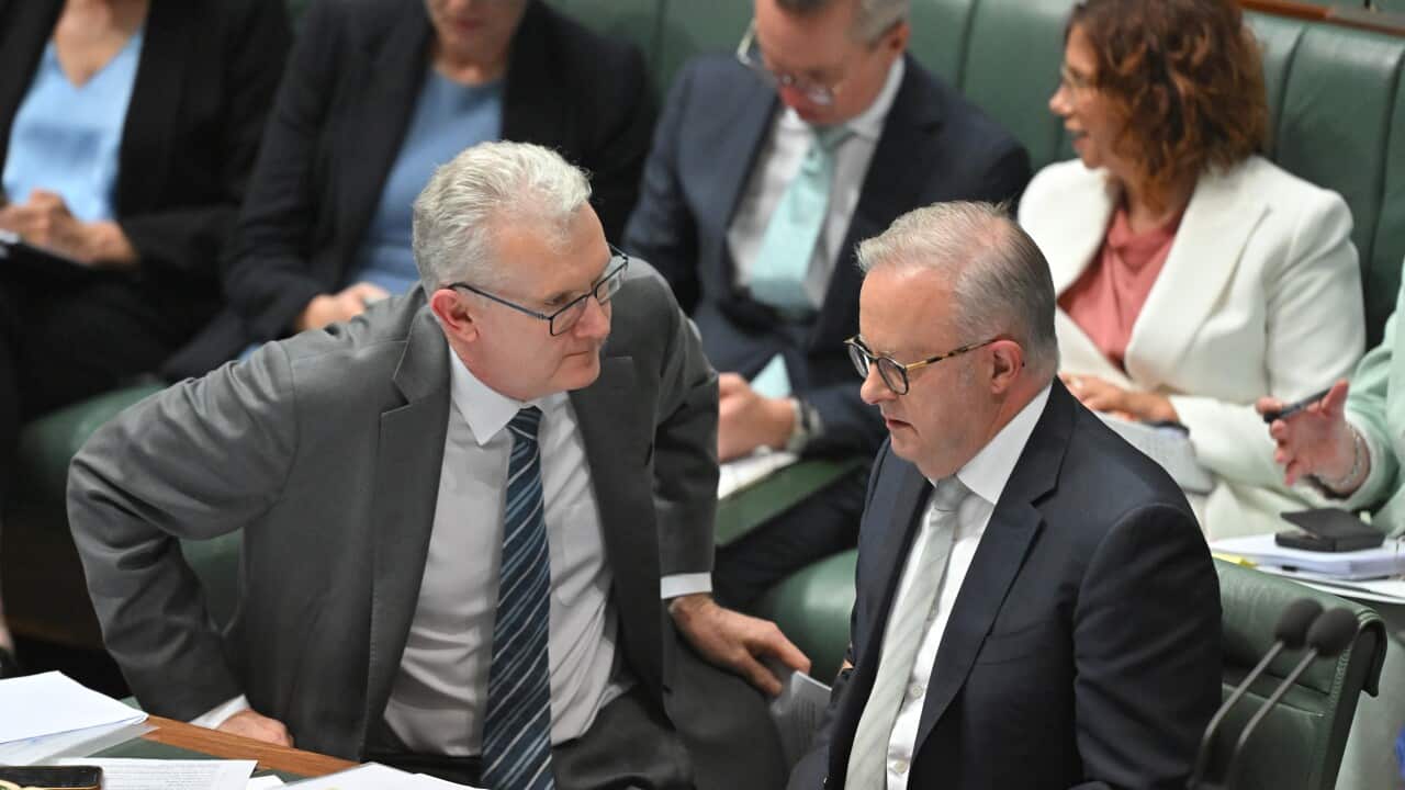 Anthony Albanese and Tony Burke speaking during question time