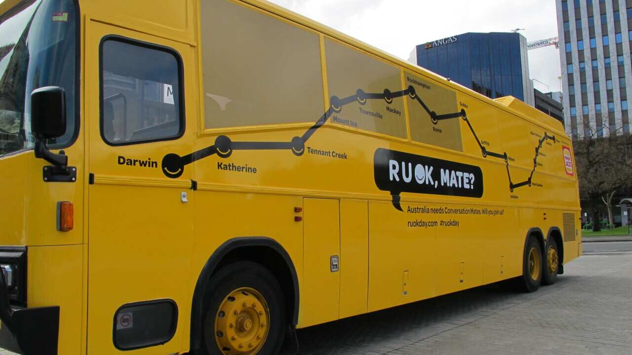 bus.jpg