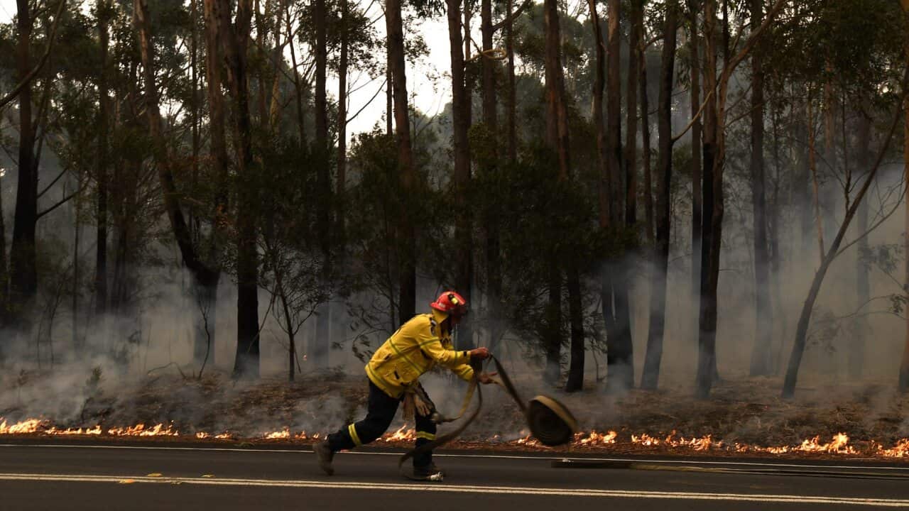 Rural Fire Service volunteers (RFS) and Fire and Rescue NSW officers (FRNSW) contain a small bushfire which closed the Princes Highway south of Ulladulla