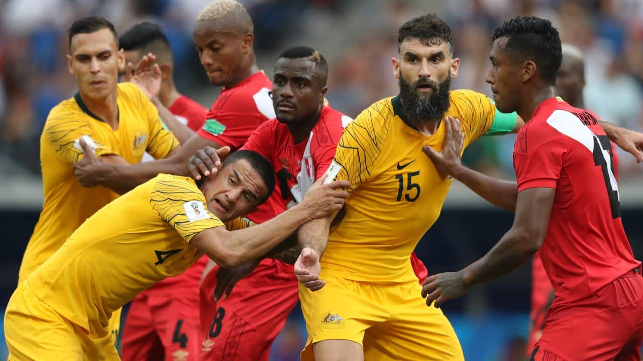 Image for read more article 'READ MORE'