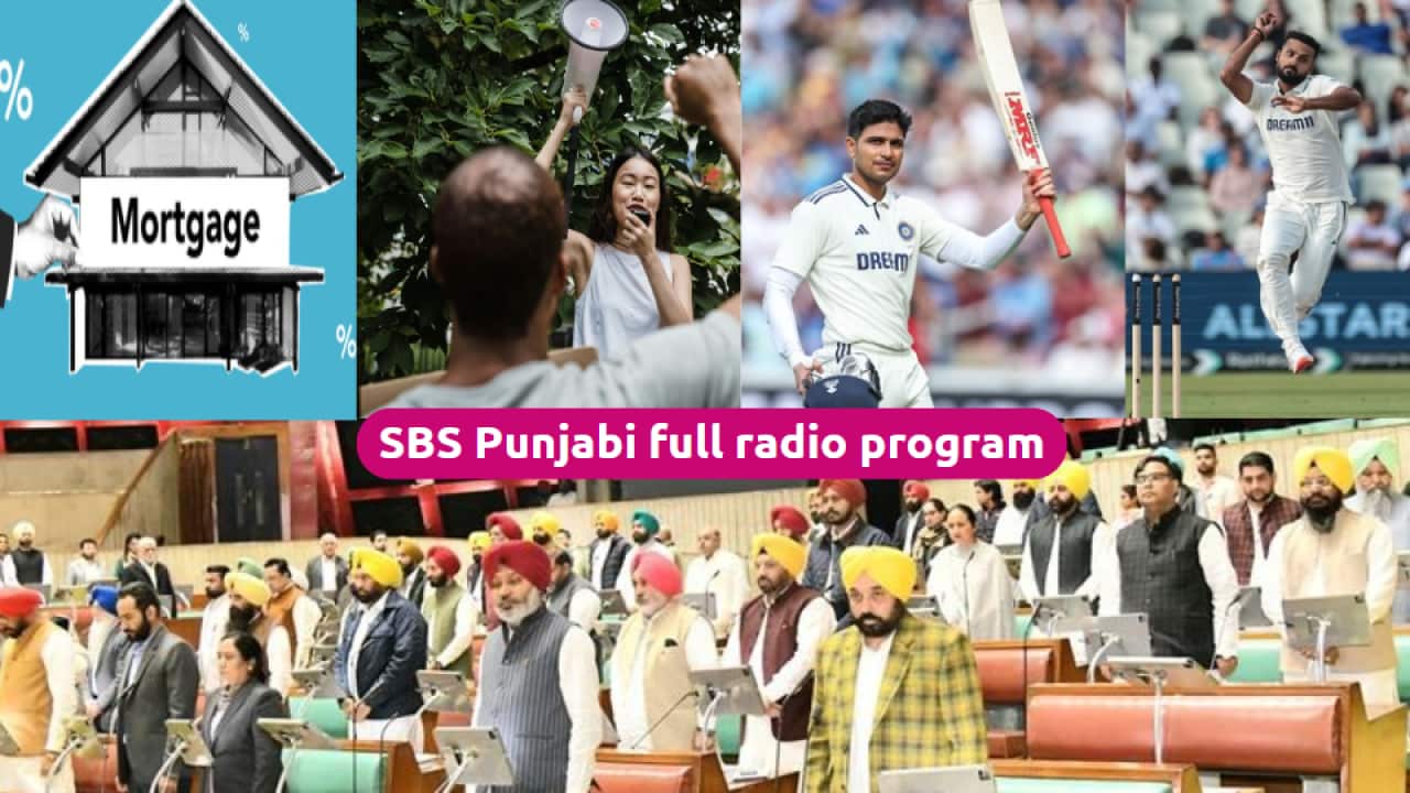 Punjabi Prog 2.PNG
