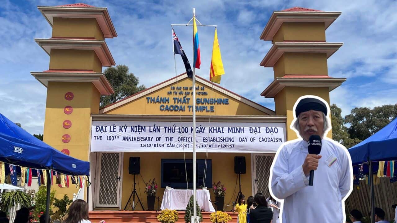 Untitled design (2).jpg