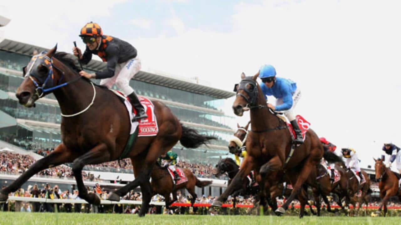 Melbourne cup