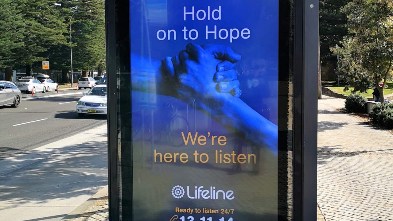 Lifeline 2 edit.jpg