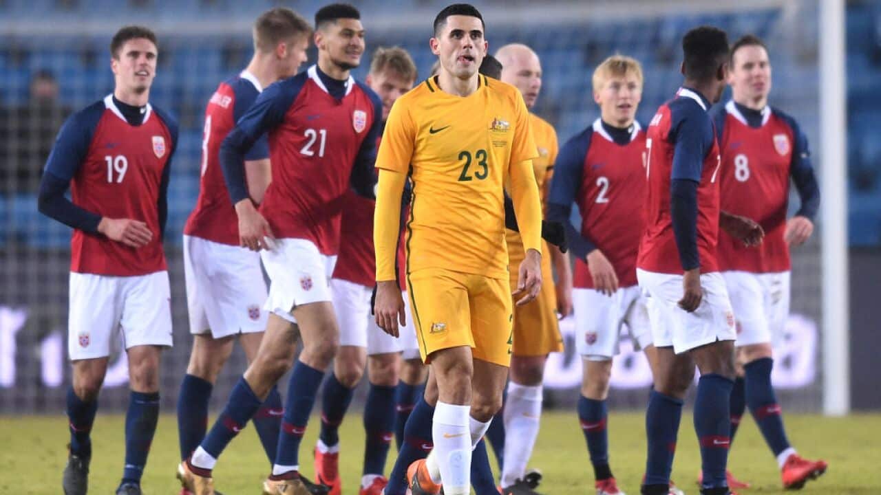Rogic