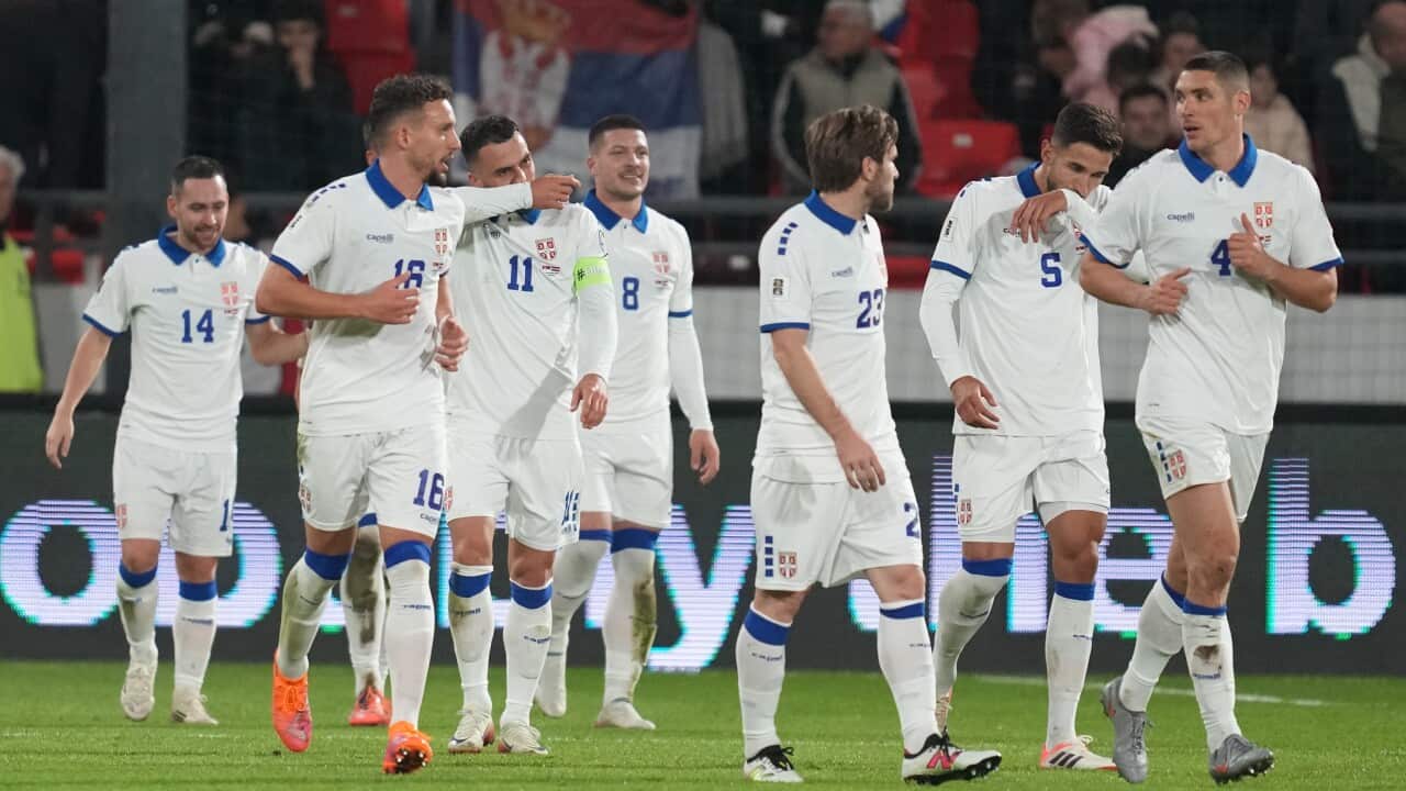 Serbia's players celebrate their side's second goal, scored by Aleksandar Stankovic during the World Cup group K qualifying soccer match between Serbia and Latvia in Leskovac, Serbia, Sunday, Nov. 16, 2025. (AP Photo/Darko Vojinovic)