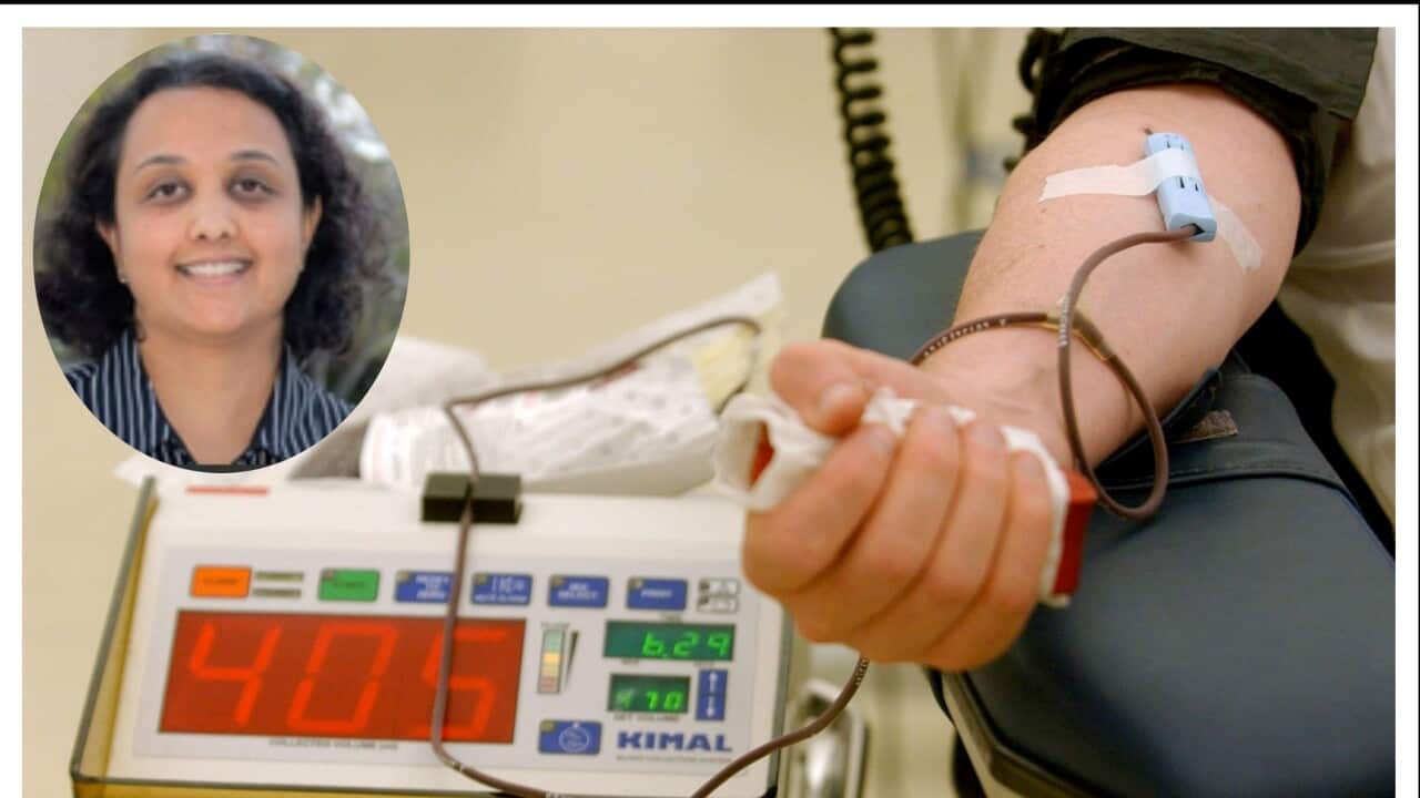 Photo of blood extraction machines at the Red Cross Blood Bank in Sydney.