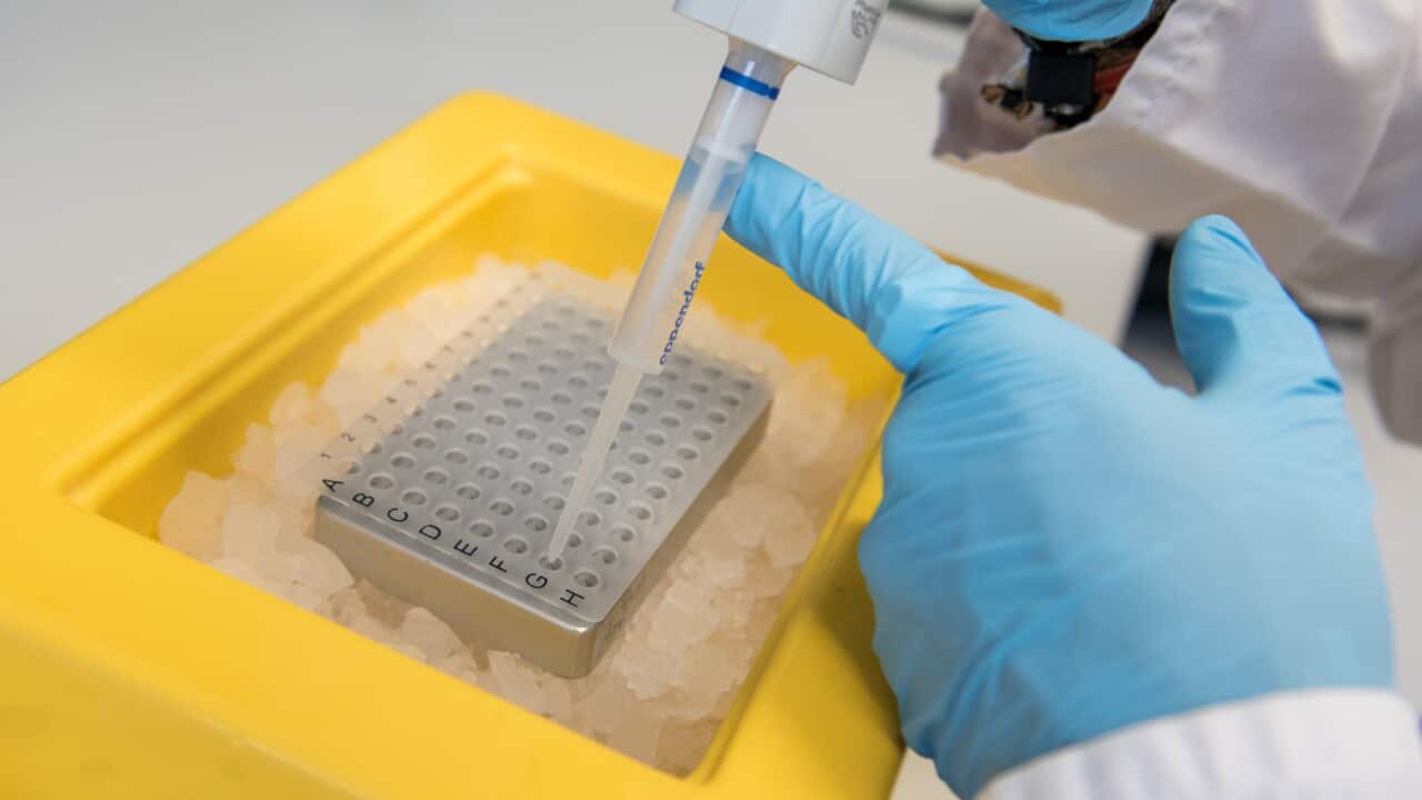 UHR genome study on cardiovascular diseases