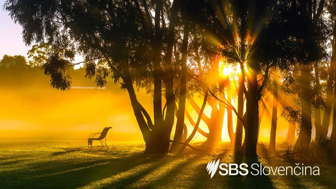 SBS Slovak