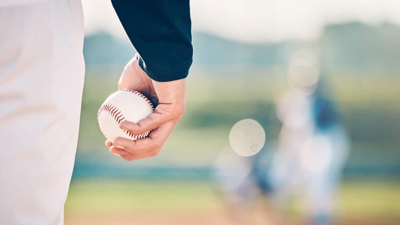 Baseball player, ball and athlete or pitcher hand in a competitive match or game on the sports field for training. Closeup, sportsman and person playing a sport or softball as exercise and fitness