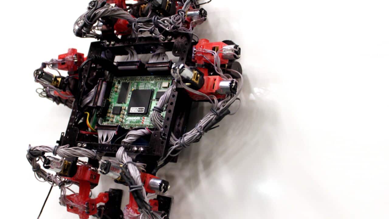 Gecko-inspired robot Abigaille