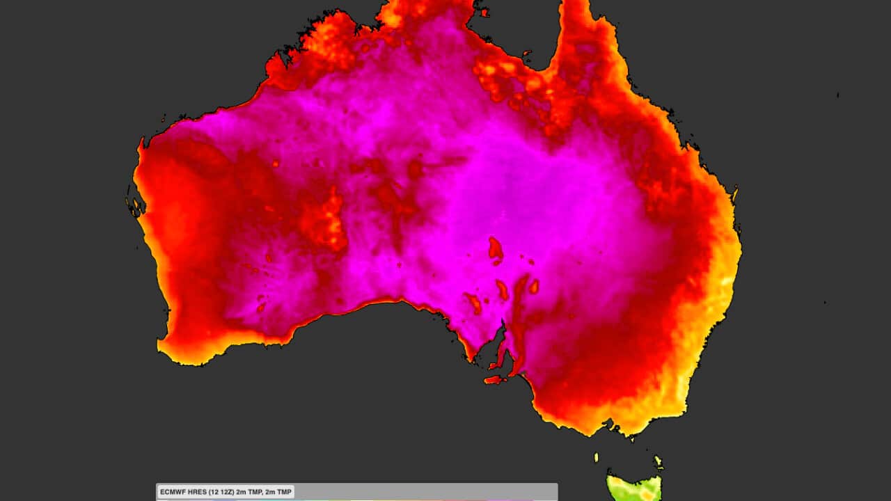 Forecast surface temperature
