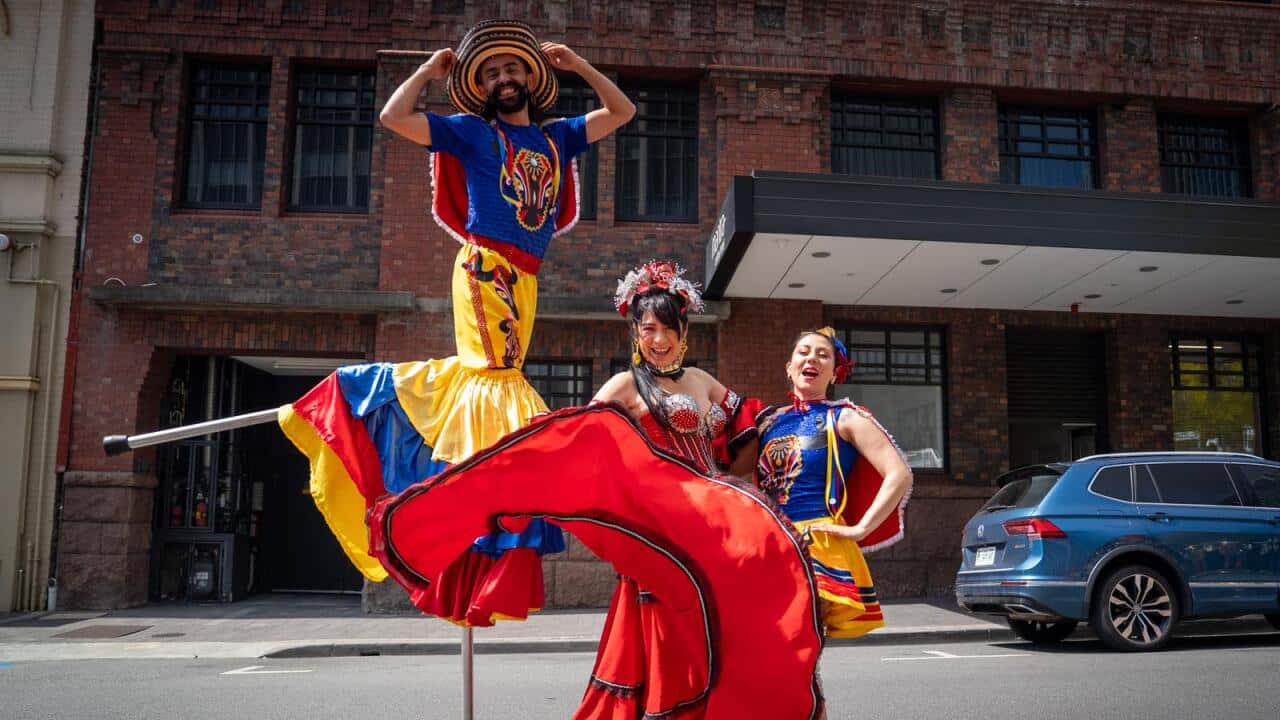 Latin Market VIVO Tasmania.jpeg