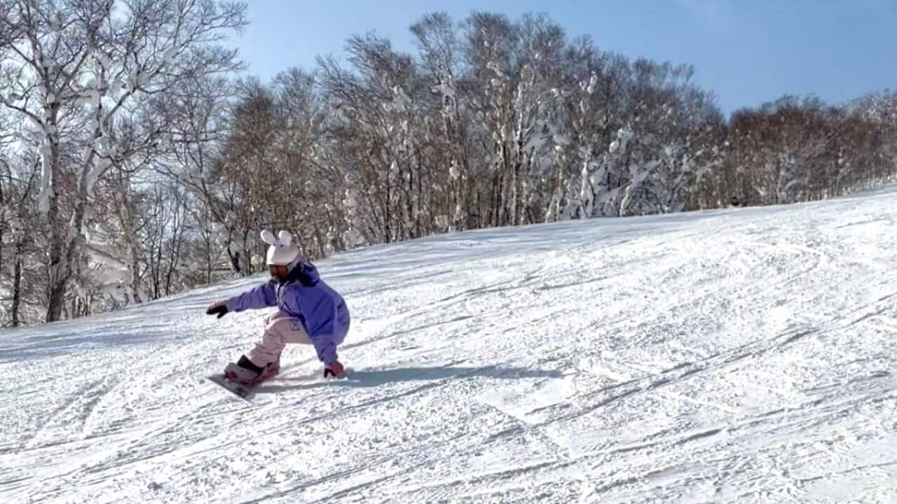 滑雪安全 小兔3.jpeg