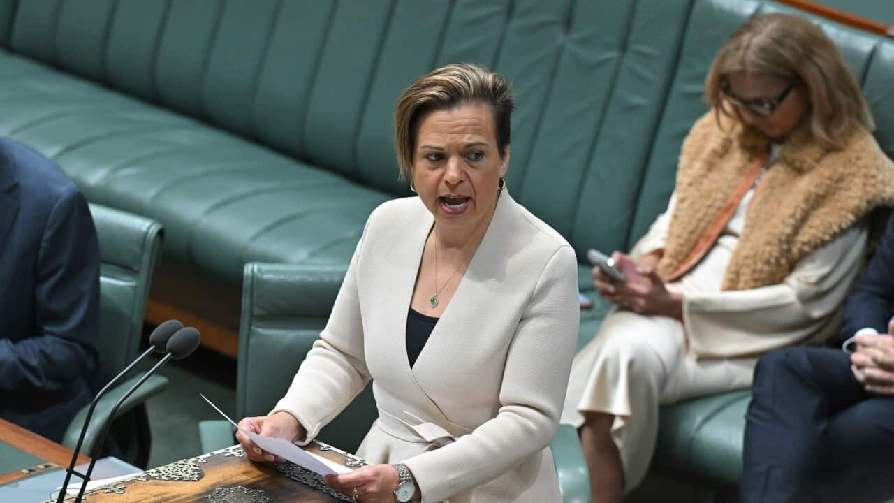 MICHELLE ROWLAND MISINFORMATION BILL