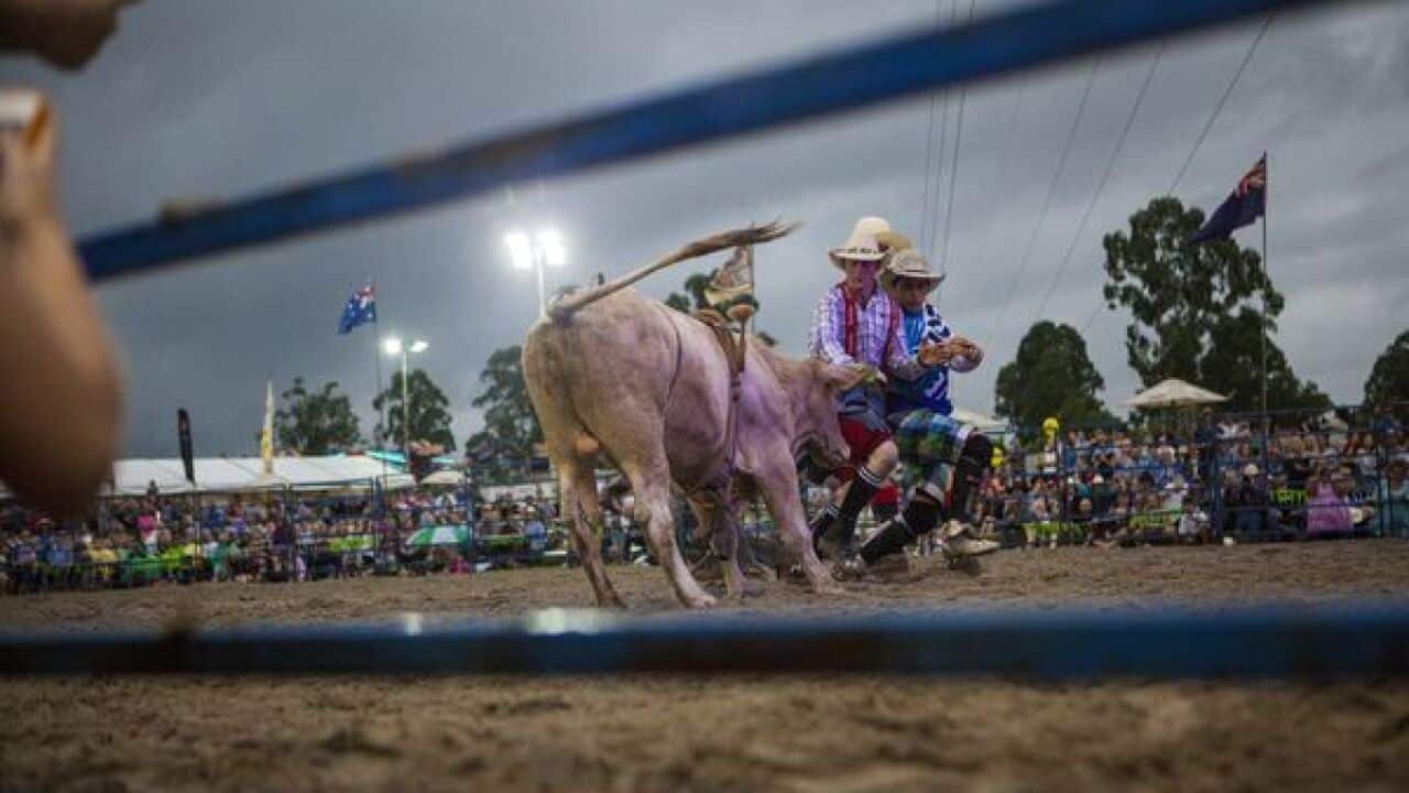 Image for read more article ''