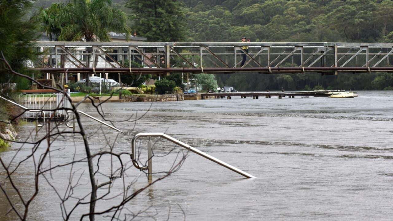 A person is seen taking pictures of the rising floodwaters in Woronora River.