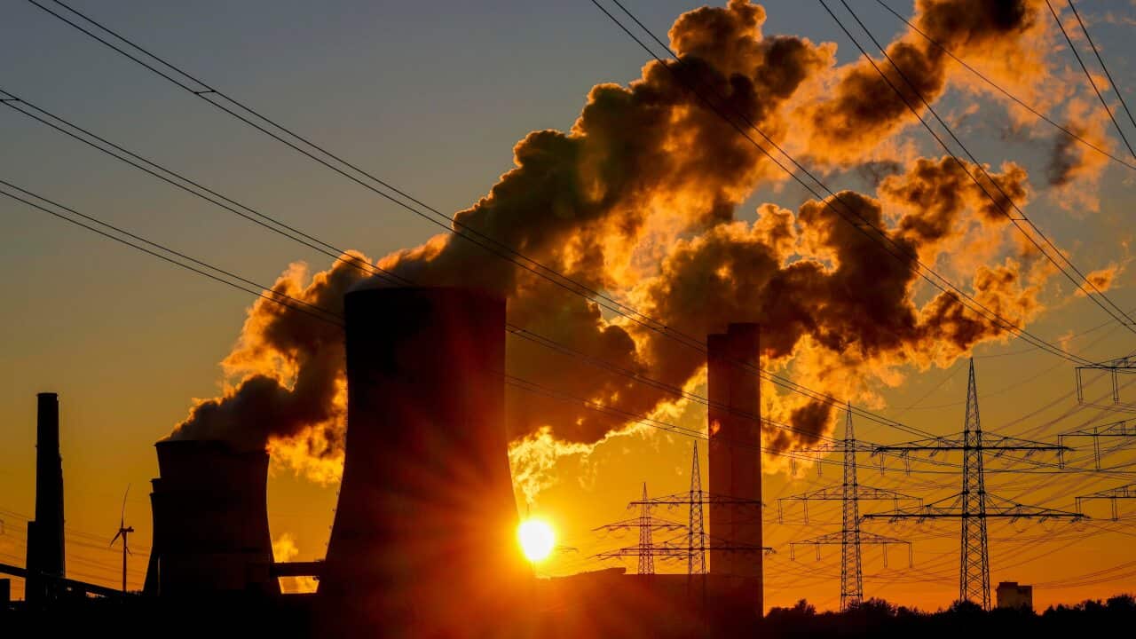 Steam comes out of the chimneys of the coal-fired power station in Niederaussem, Germany (AP)