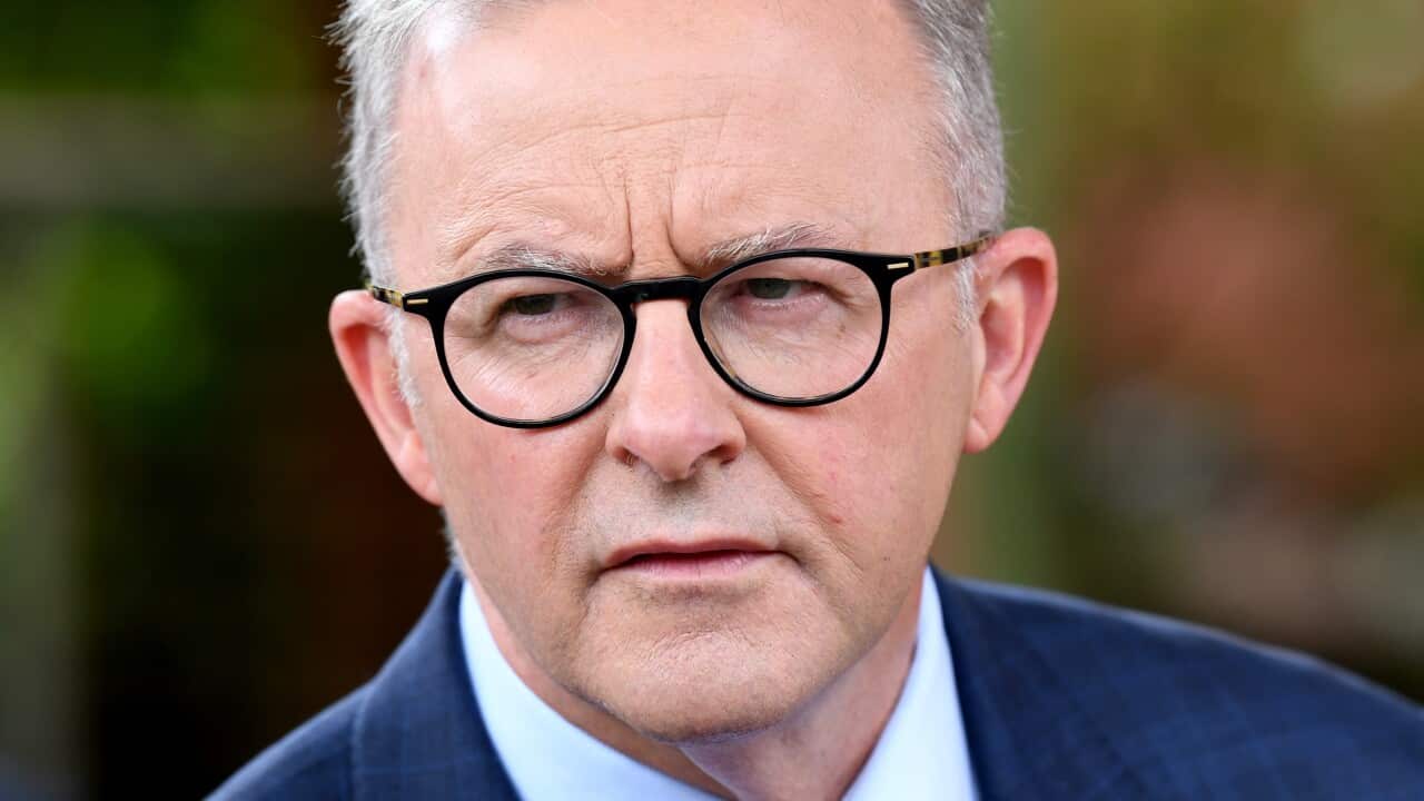 Opposition leader Anthony Albanese is seen speaking.