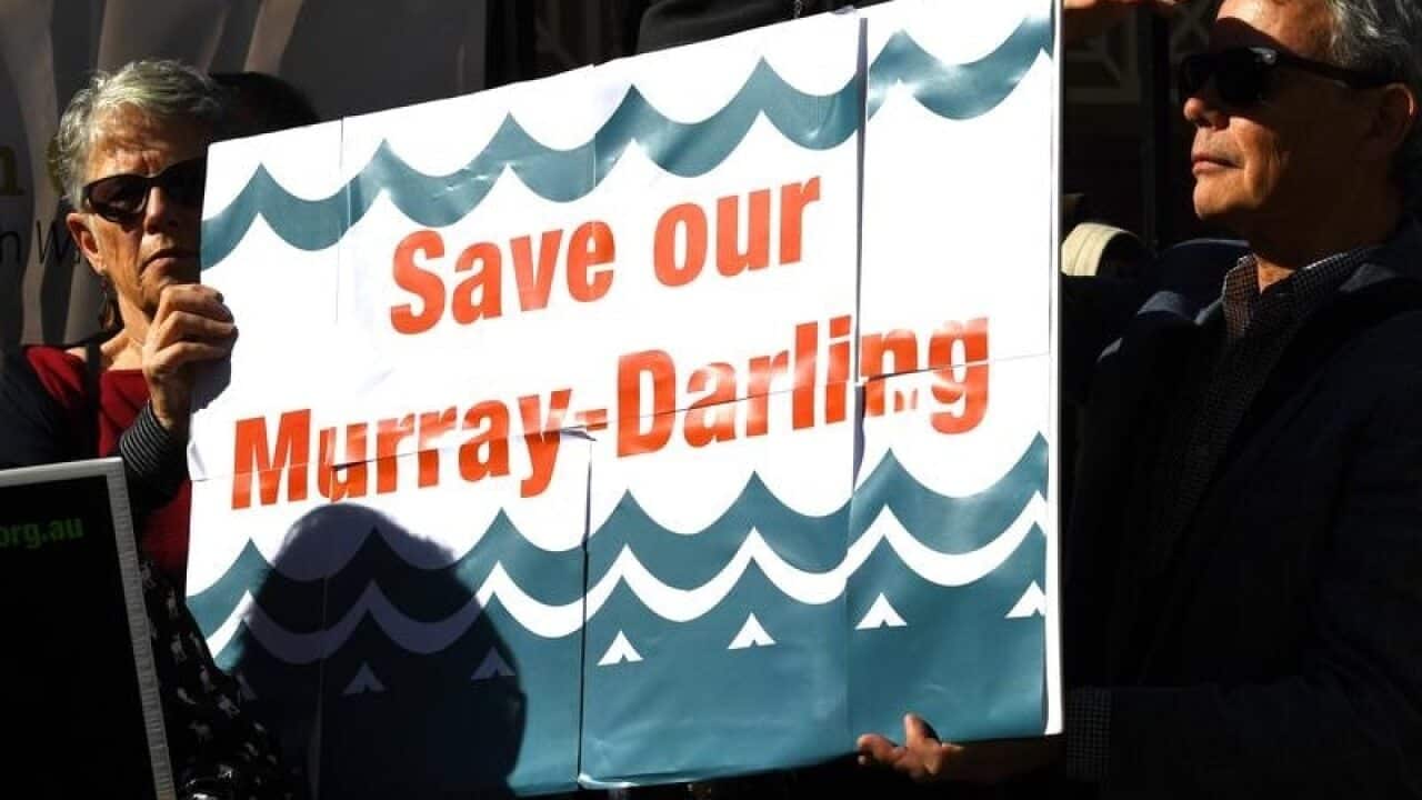A report into the Murray-Darling Basin has been released.