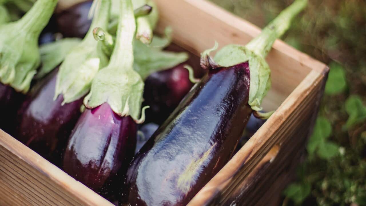 Image for read more article 'Ascolta la puntata precedente:'