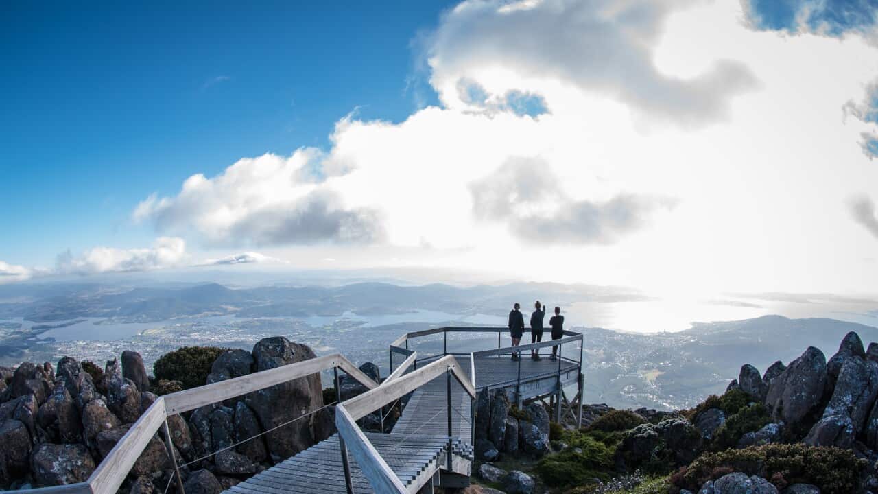 View from Mt. Wellington