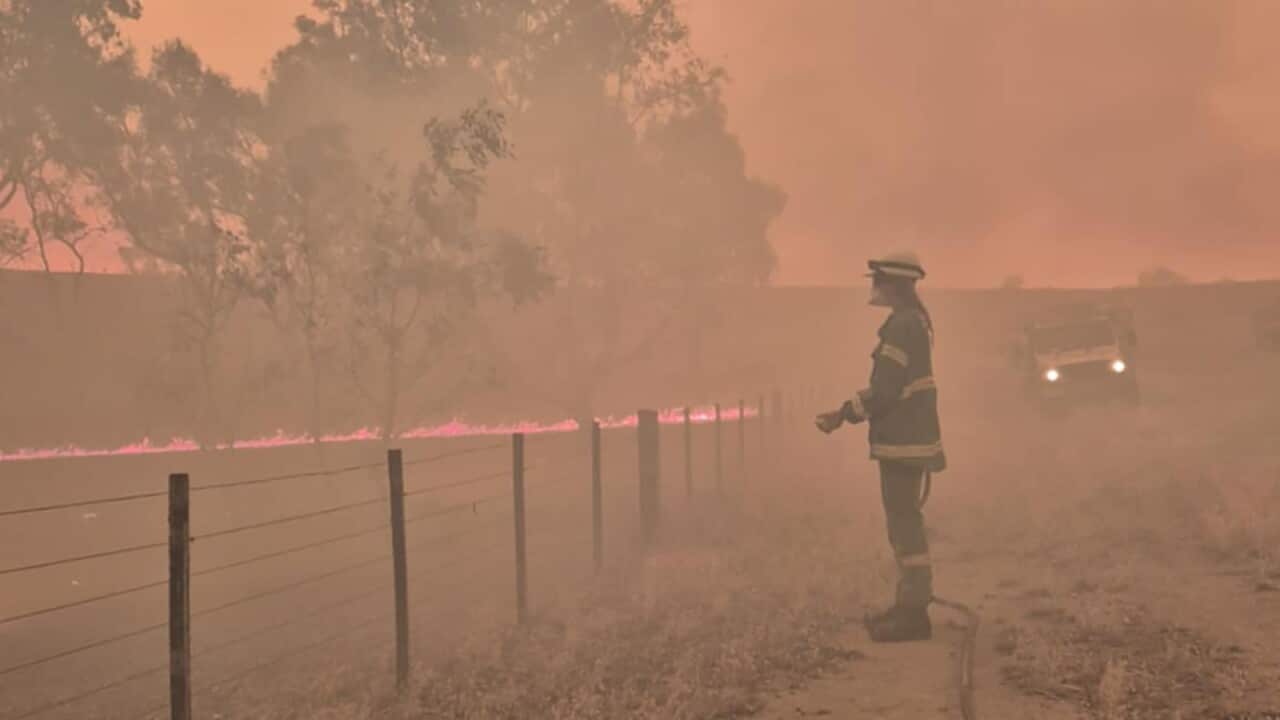 BUSHFIRES VICTORIA