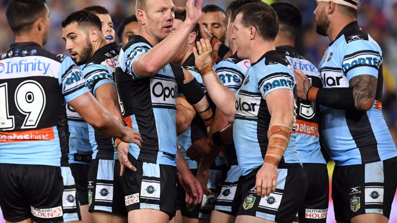 The Sharks celebrate a try scored by James Maloney
