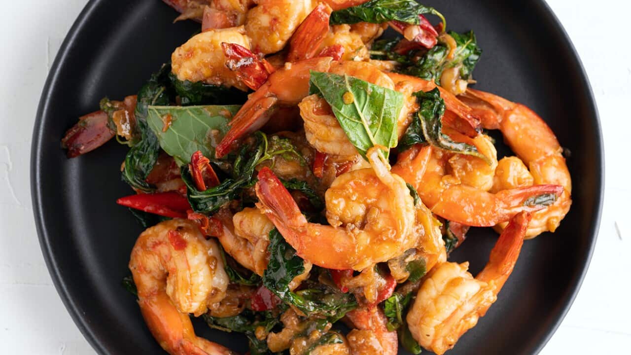 Thai basil shrimp stir fry pad krapow