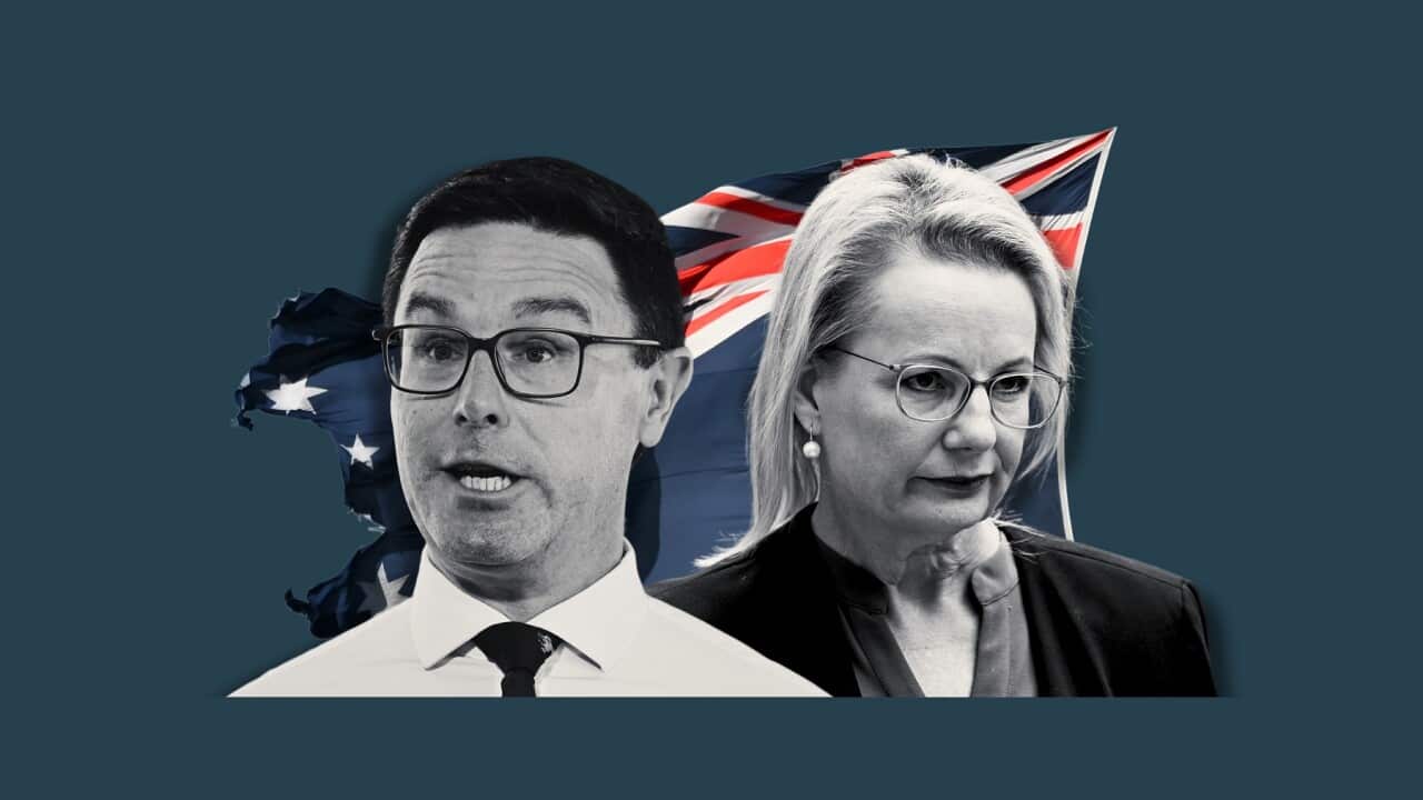 (PHOTOMONTAGE) FEDERAL COALITION LEADERS