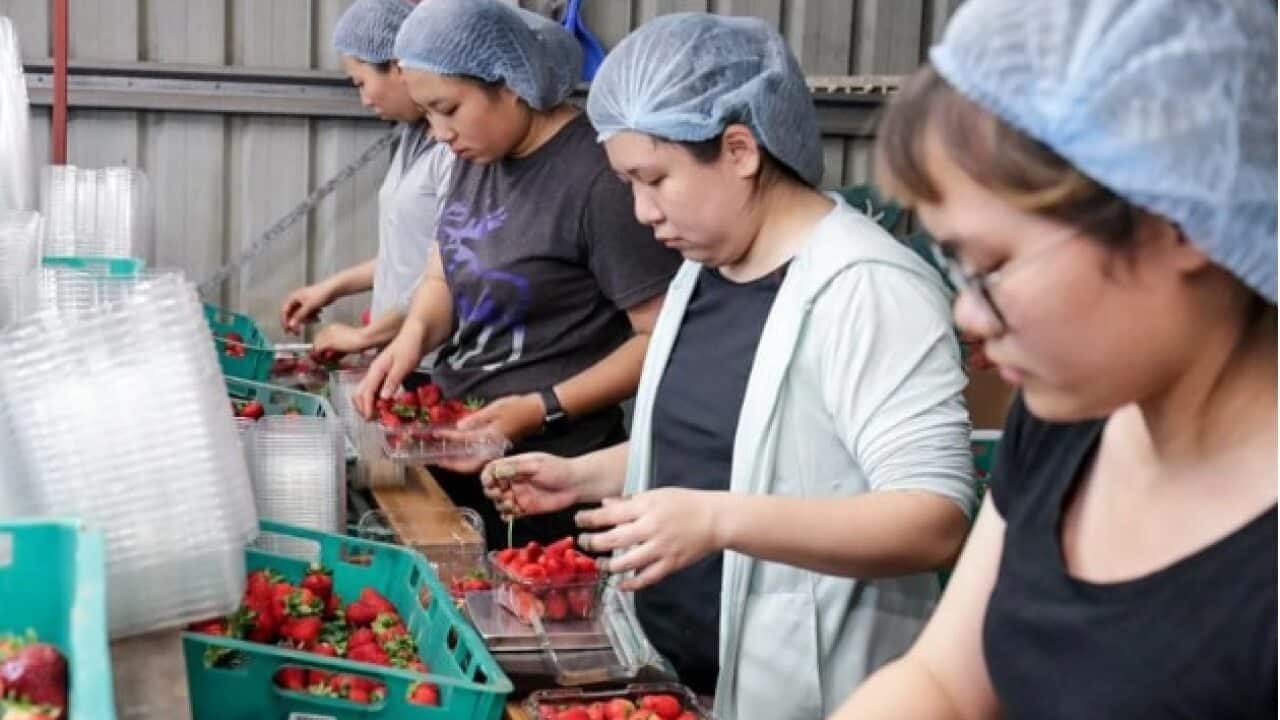 Image for read more article 'READ MORE'