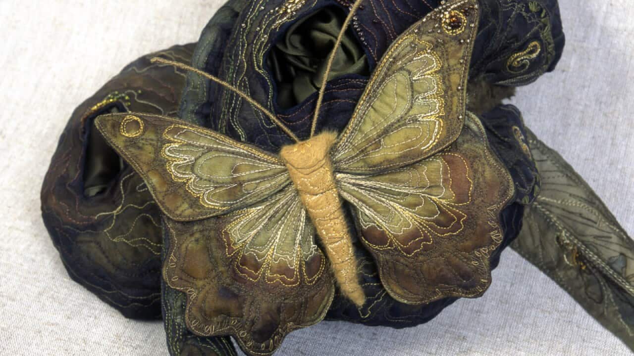 Vlinder butterfly Annemieke Mein