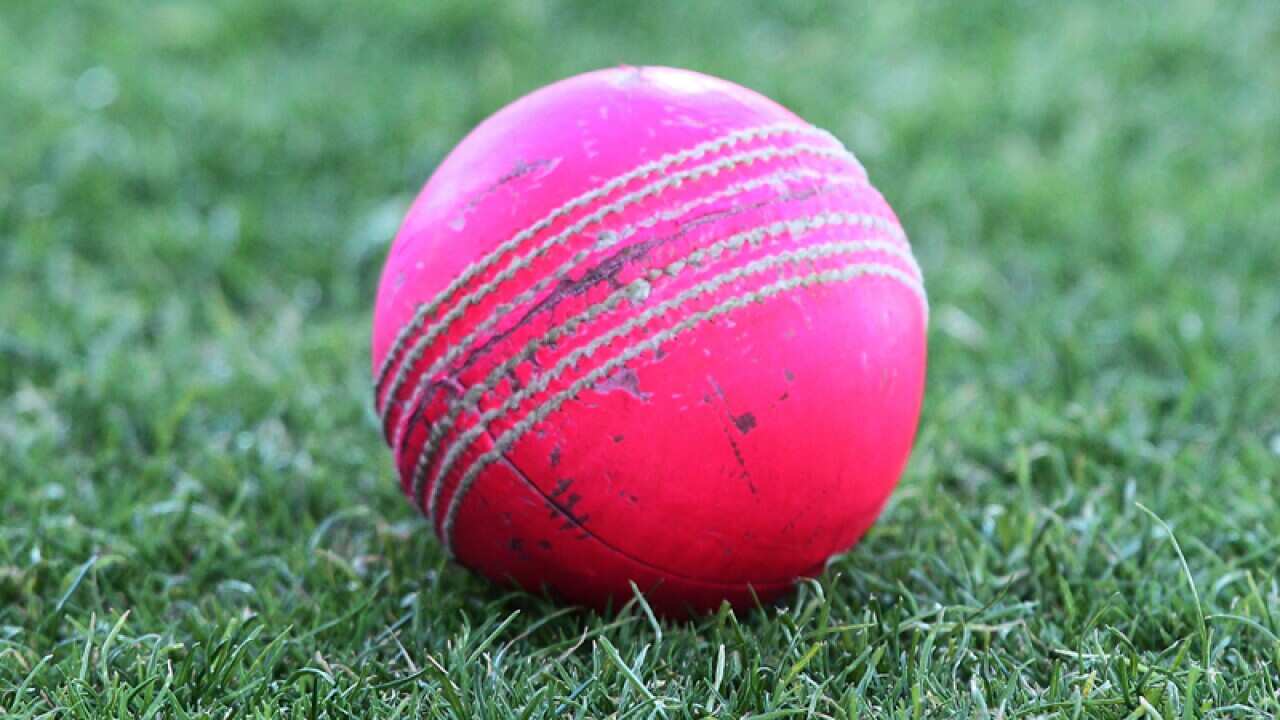 The pink ball.