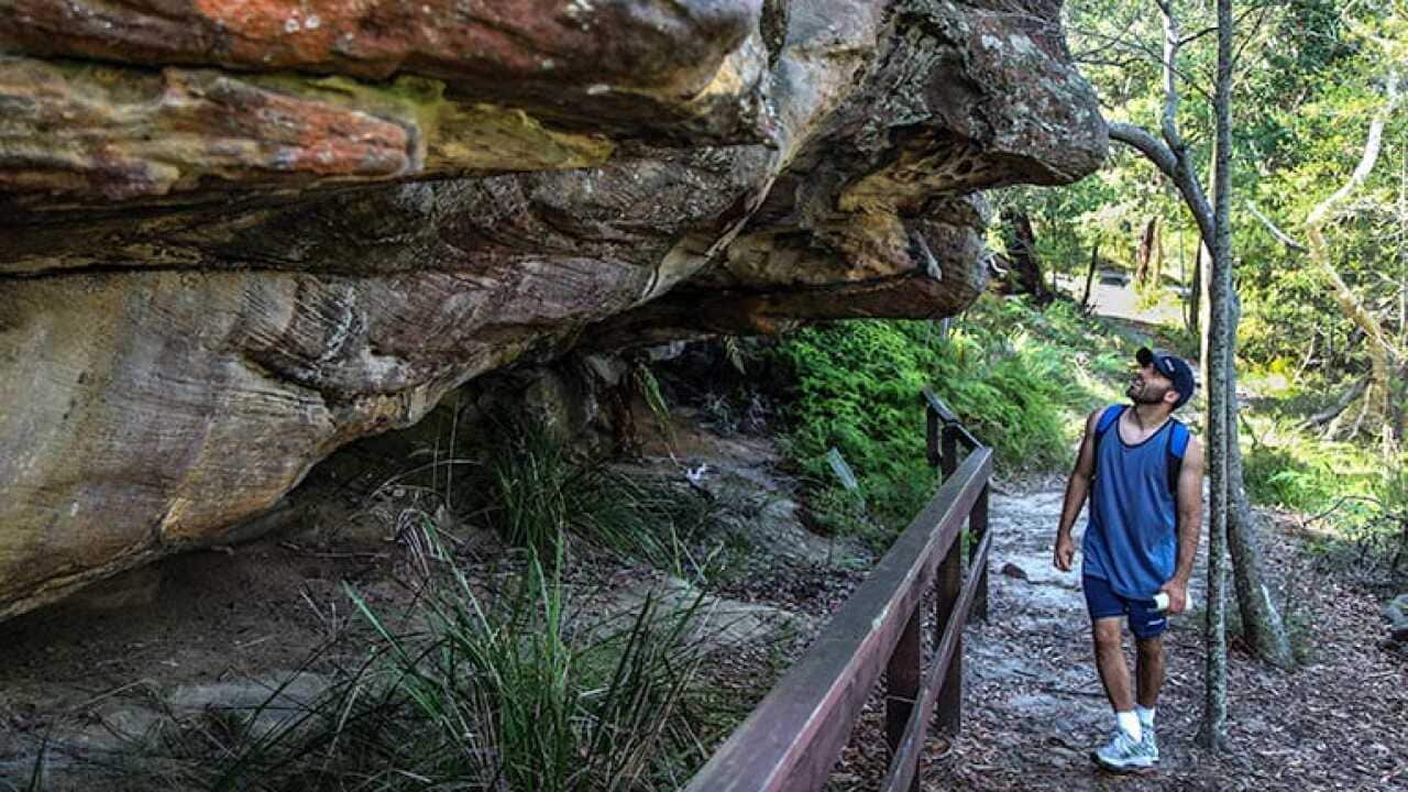 A bushwalker looking at a rock at the Aboriginal Heritage walk, Ku-ring-gai National Park, NSW
