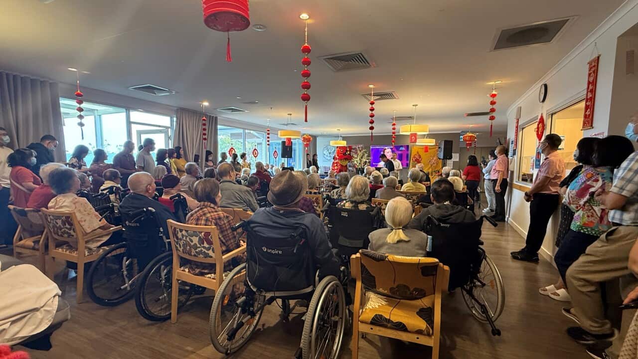 Tết 2026 tai Avacs.jpeg