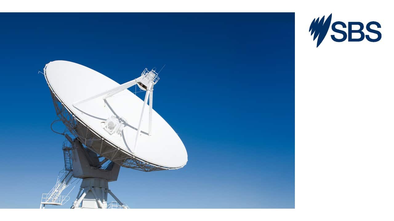 SBS Web Banner Newsflash - Dish (LTR).jpg