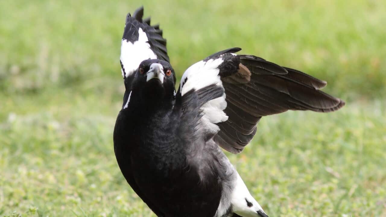 Image for read more article ''