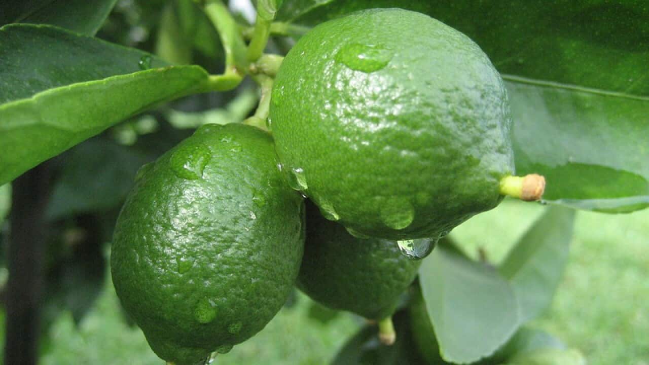 Image for read more article ''